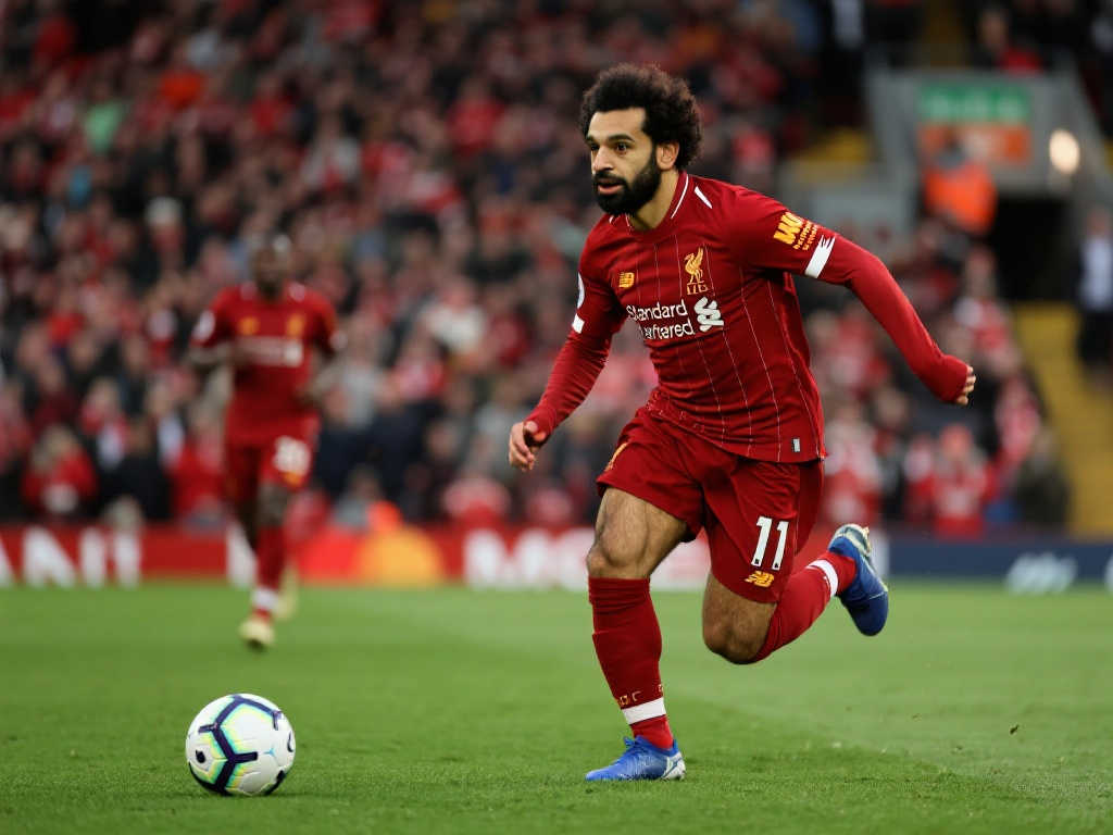 許多球隊在 許多球隊在