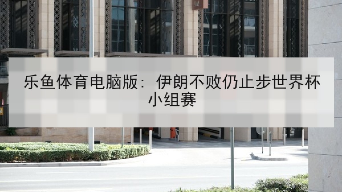 乐鱼体育电脑版: 伊朗不败仍止步世界杯小组赛