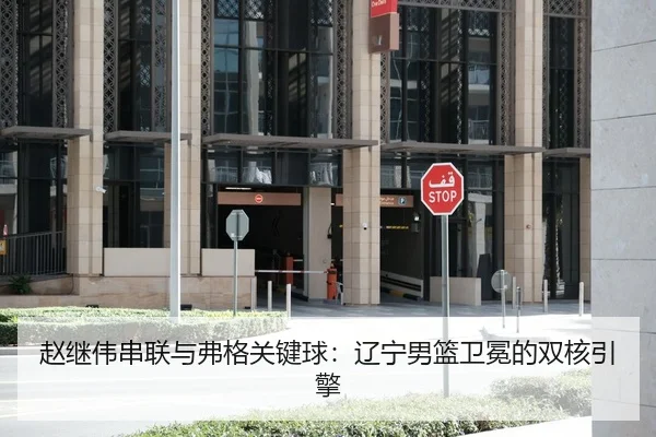 赵继伟串联与弗格关键球：辽宁男篮卫冕的双核引擎
