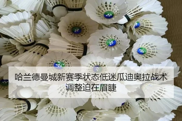 ha-lan-de-man-cheng-xin-sai-ji-zhuang-tai-di-mi-gua-di-ao-la-zhan-shu-tiao-zheng-po-zai-mei-jie-2-874.jpg